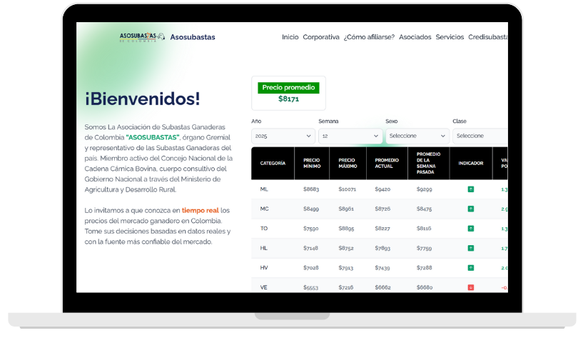 Asosubastas web
